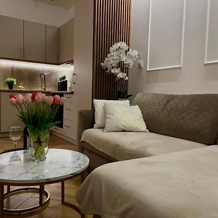 Coco City Center Apartment Kielce Esterno foto